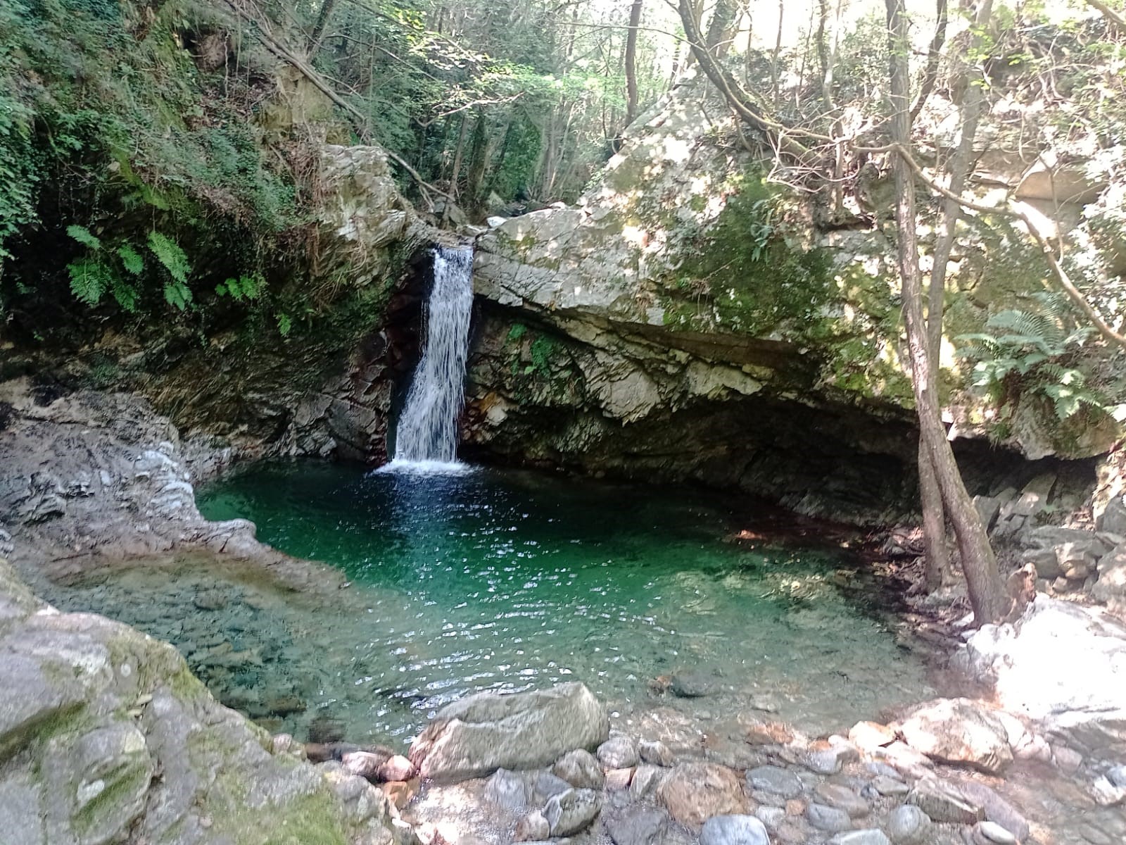 Natural pools Liguria